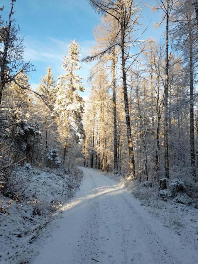 Fraenkische Linie - Radspitz-Ferienwohnungen Marktrodach 外观 照片